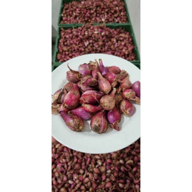 

Bawang Brebes Asli Grade Super Bogor 1kg