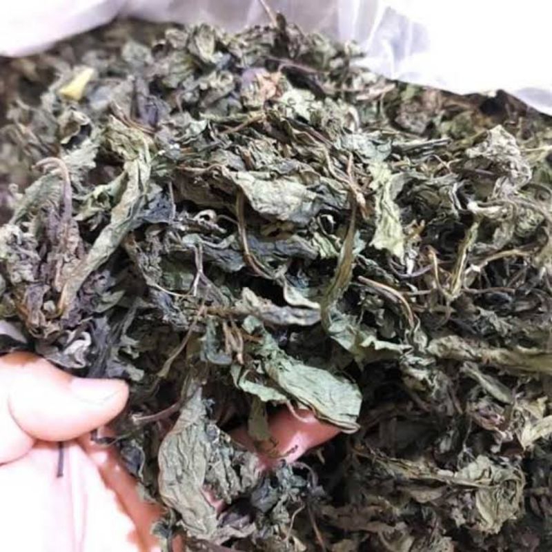 

Daun Afrika Kering Kemasan isi 100 Gram Daun Sembung nyawa