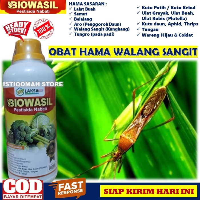 BIOWASIL 500ML Pestisida Organik Obat Hama Tanaman Padi Seperti Walang Sangit (Kungkang), Tungro pad