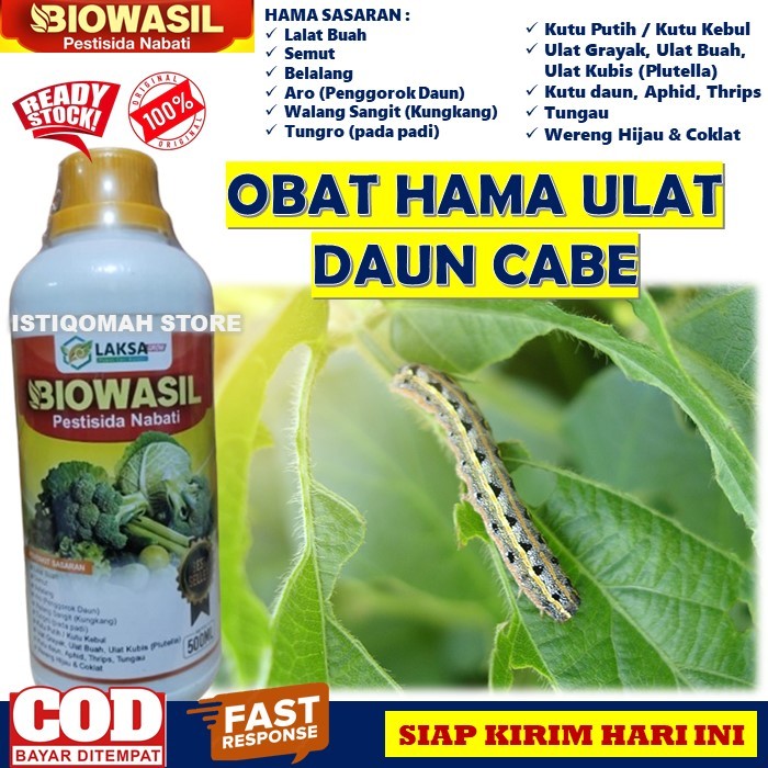 BIOWASIL Pestisida Organik Nabati Obat Pembasmi Hama Ulat Daun Cabe, Obat Ulat pada Tanaman Cabe, Ob