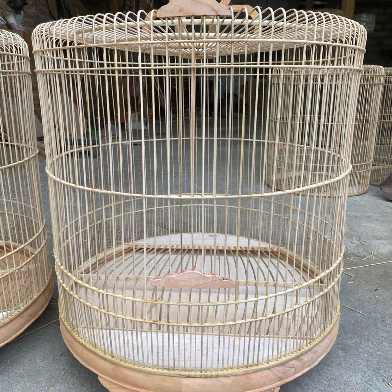 sangkar murai jumbo untuk ekor panjang