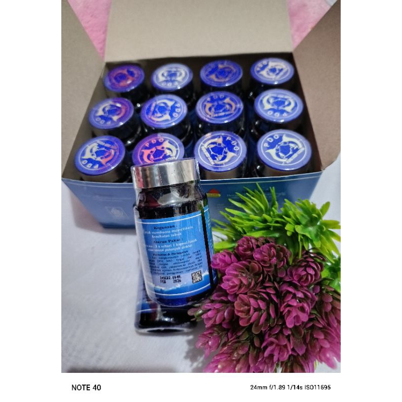 PDO Minyak Ikan Suplemen Kesehatan