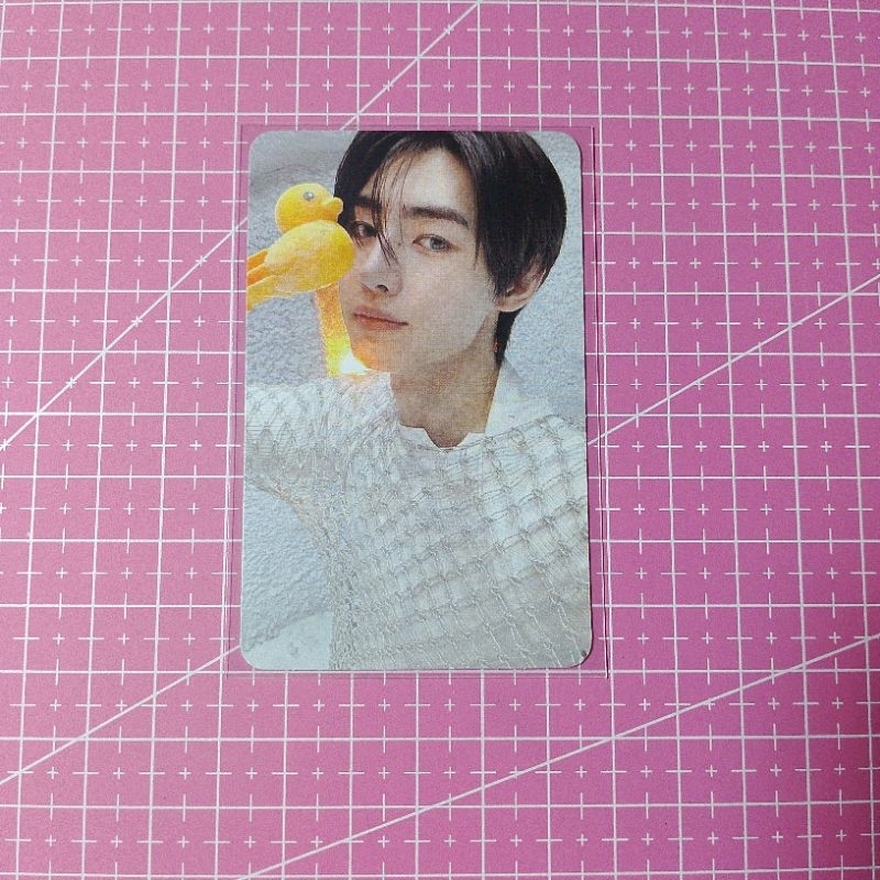 Photocard Official Enhypen Daydream Weverse Ver Sunghoon RPC A/Sunghoon Bebek