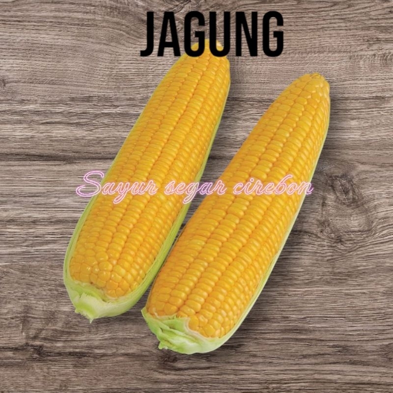 

Jagung 1kg / Sayur Segar Cirebon