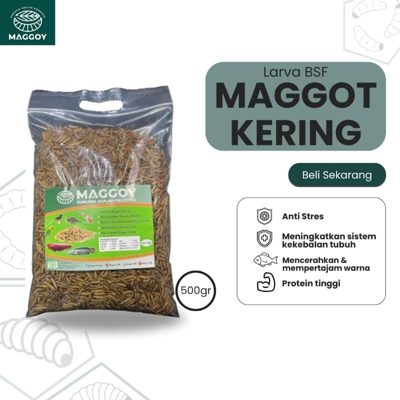 Maggot kering 500gr magot kering 500gram dried maggot maggot kering pakan ikan