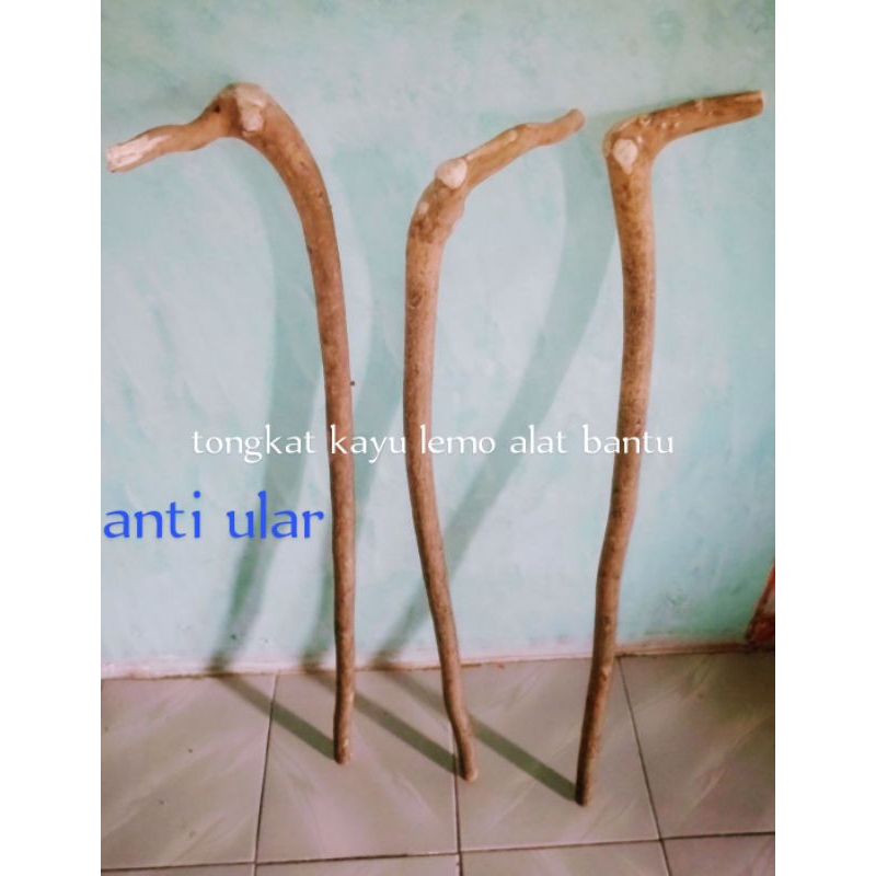 tongkat kayu lemo alat bantu jalan alami alam ber variasi