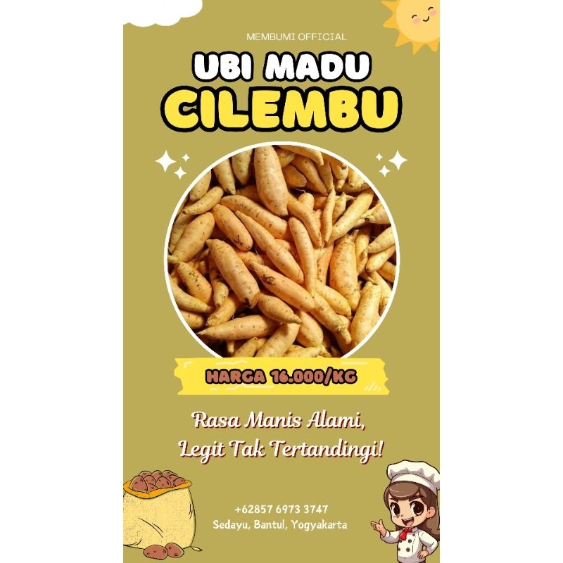 

ubi cilembu bumi pertiwi