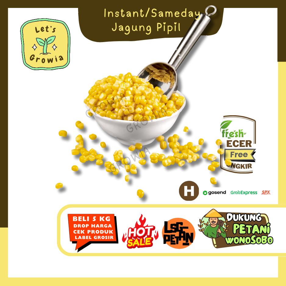 

Growia || Jagung Pipil || Hasil Petani Langsung Ecer (H)0