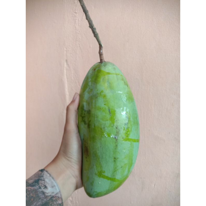 

mangga kiojay berat 800gr