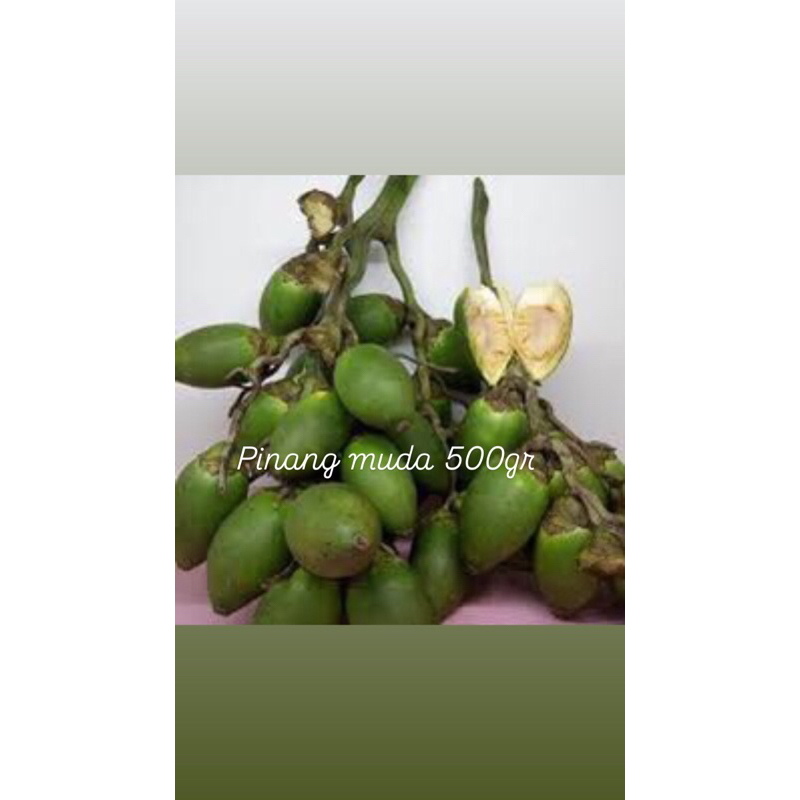 

Pinang Muda 500gr