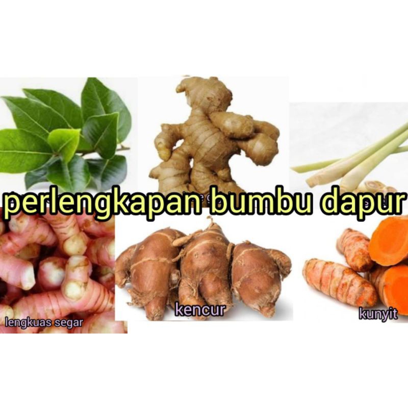 

BUMBU DAPUR LENGKAP ( PAKET 6 IN 1 ) RP 25000