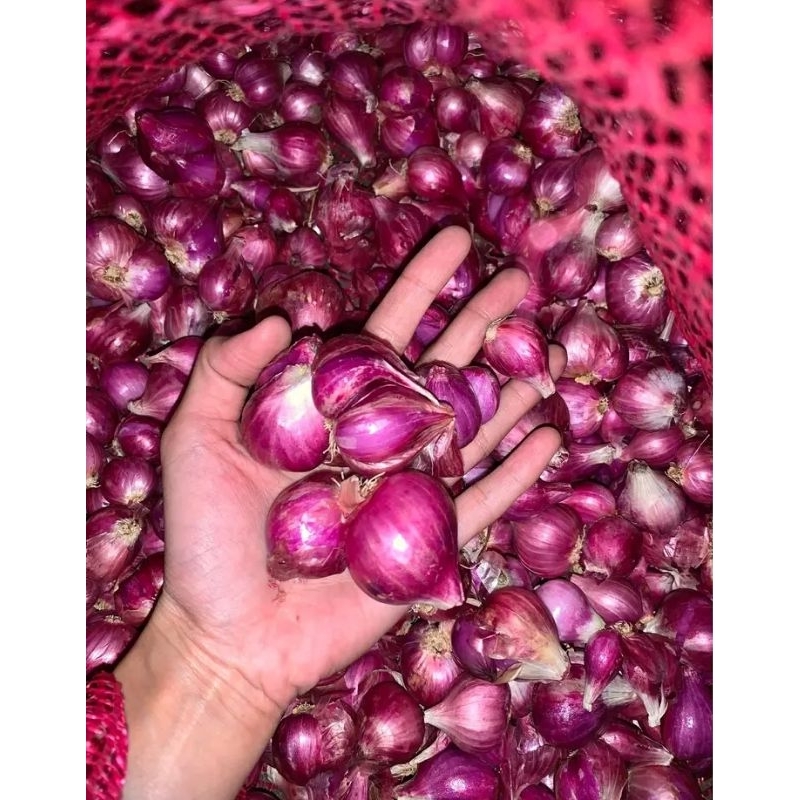 

Bawang Merah BESAR / SUPER 1kg Nganjuk