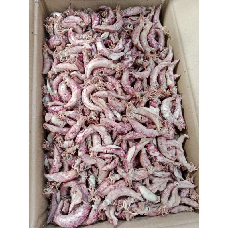 

iKan Asin Cumi Sotong Jarum Kering Total Jumbo 1 Kg Fresh