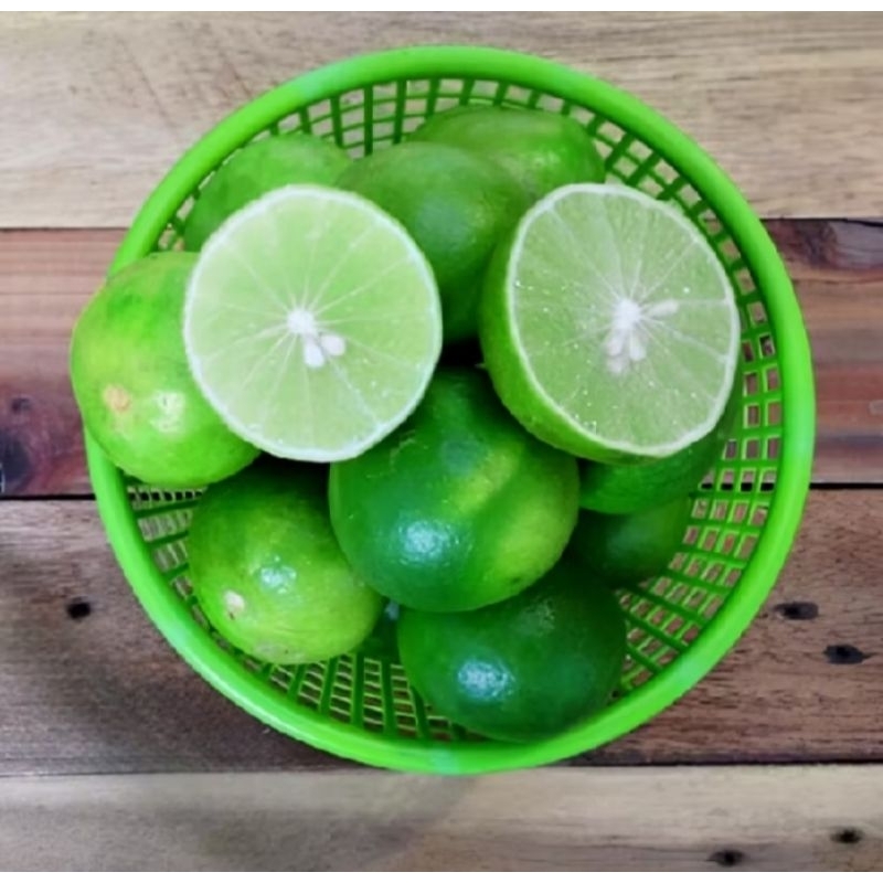 

Jeruk Nipis 1Kg Fresh&Segar Petik langsung di Kebun