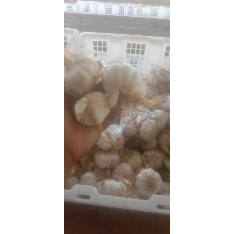 

bawang putih 500 gram
