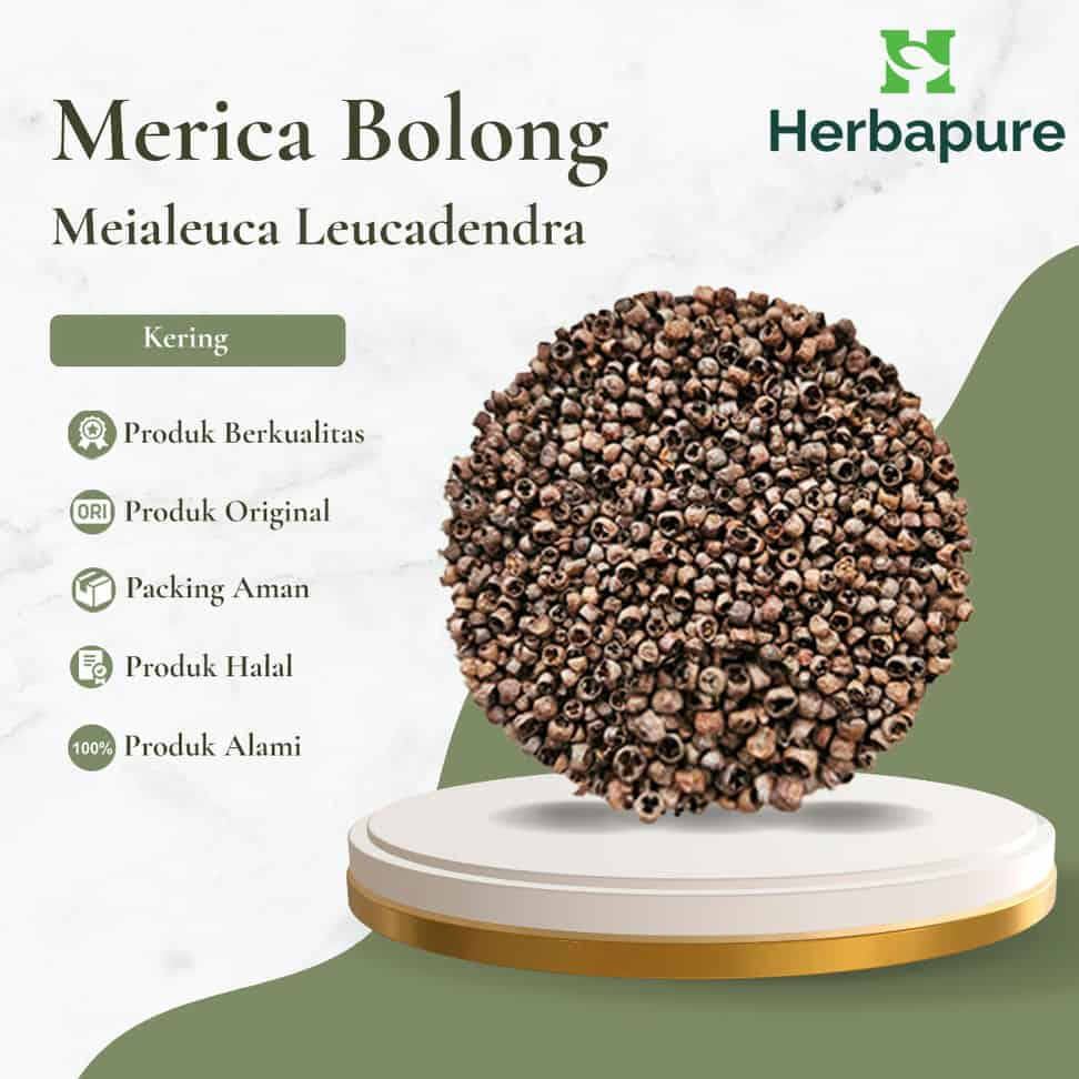 

Herbapure- Rempah Jamu Herbal Merica Bolong/ Lada Bolong