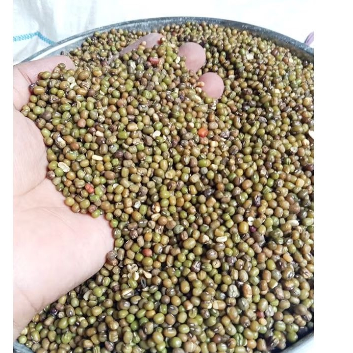 

Kacang hijau 1kg , peyek /isian kue/roti kacang pakan dll