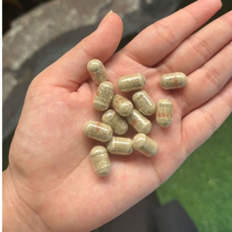

KIYANPIPILKU PERMEN PENGGEMUK BADAN ORIGINAL 100% ASLI || GOLD LIST BIRU