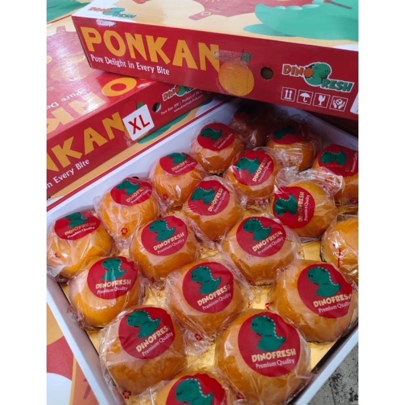 

Jeruk Ponkam Dinofresh Giftpack Hampers imlek buah imlek jeruk imlek