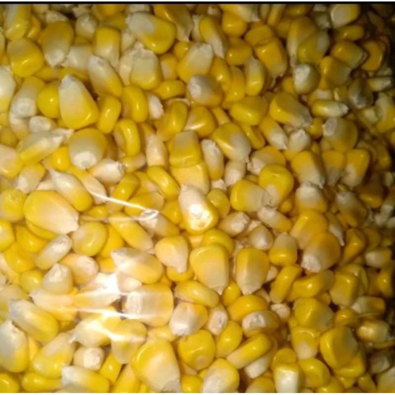 

1kg jagung manis pipil segar kualitas A