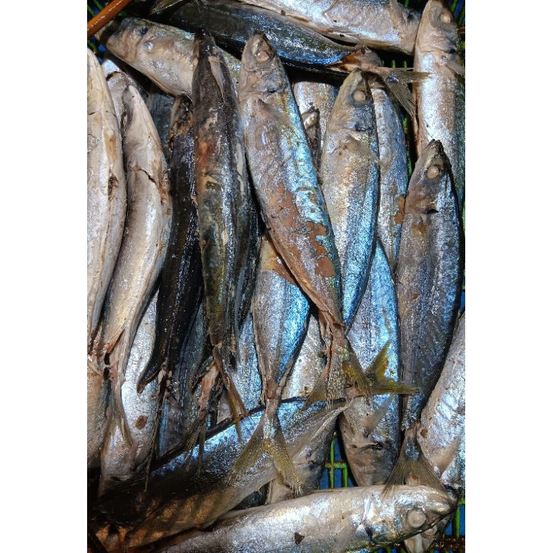 

ikan cue salem rebus 1pcs
