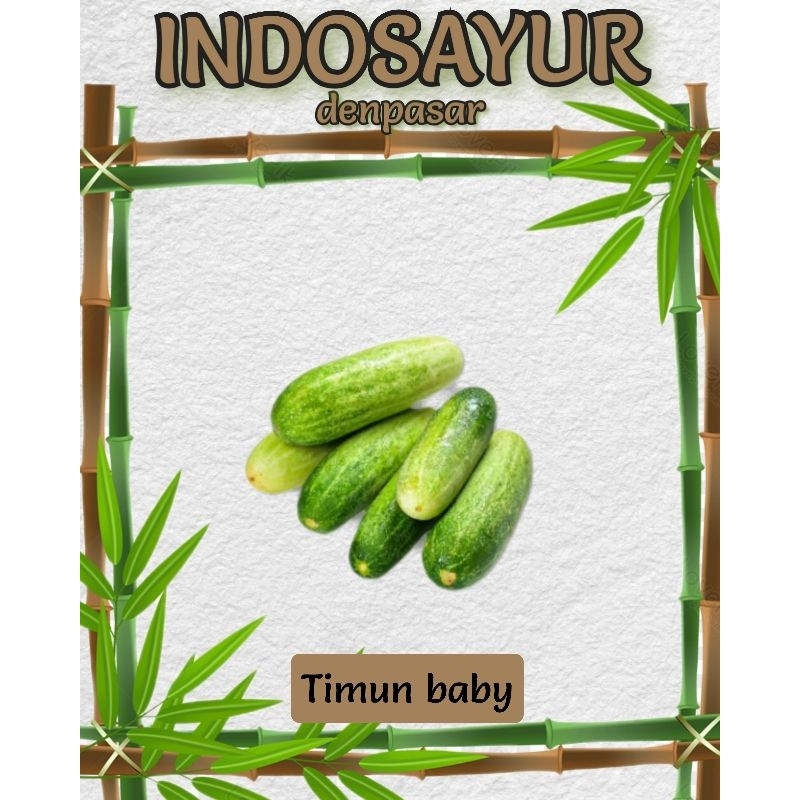 

Timun baby _ INDOSAYUR