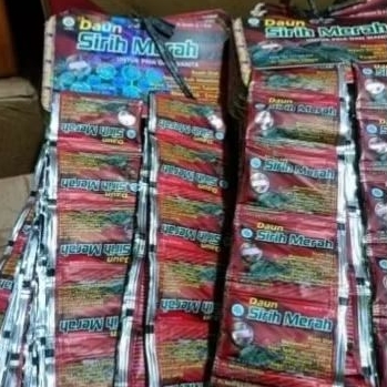 Daun Sirih Merah Hanger Asli