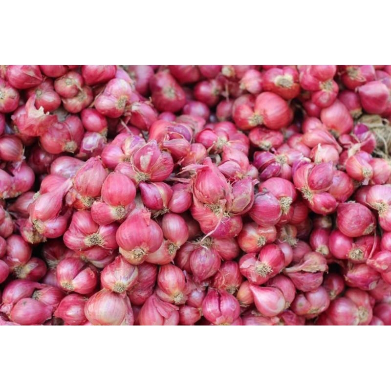 

Bawang merah berebes 1 kg premium murah