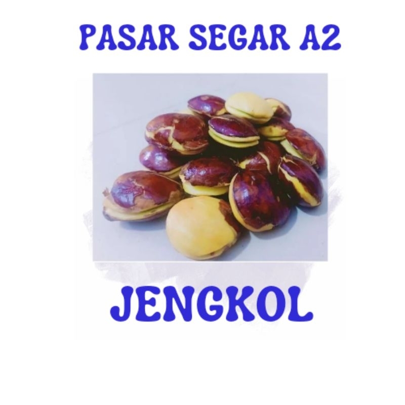

Jengkol Pasar Segar Murah/Pasar Online Makassar