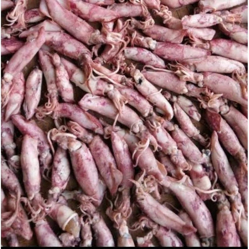 

Cumi Asin - 1 kg / ikan asin cumi beby termurah