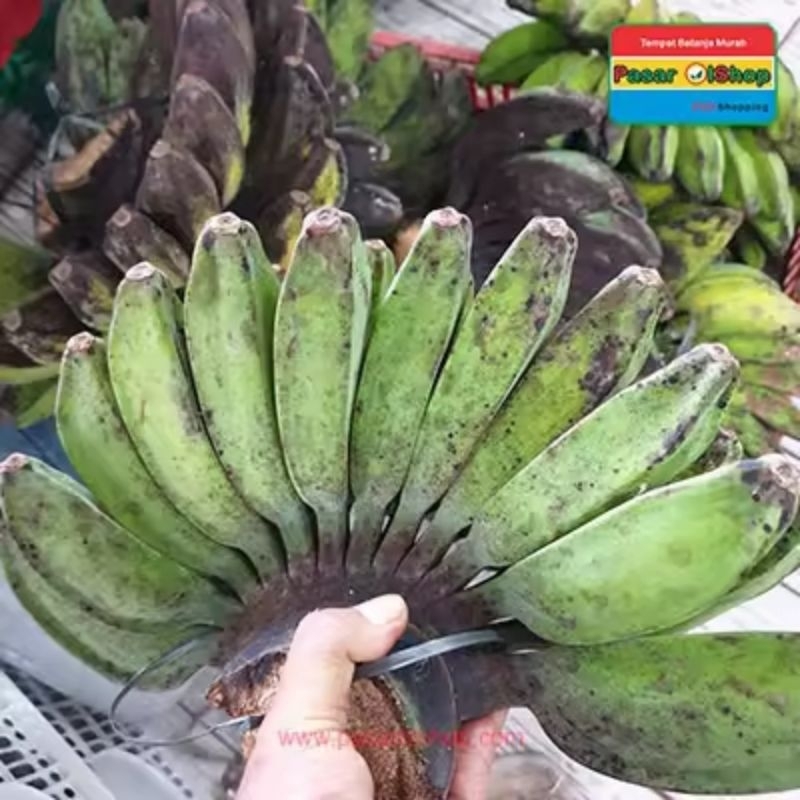 

pisang kepok tua 1kg