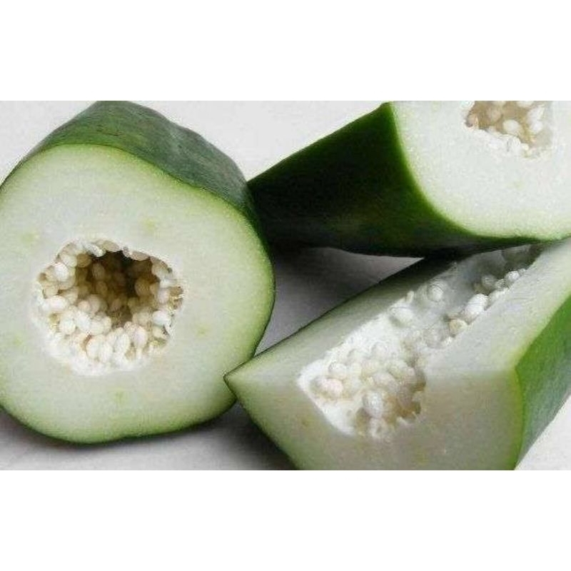 

pepaya sayur 1kg