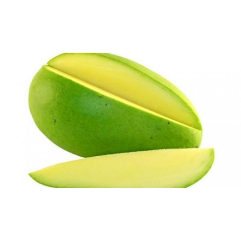 

mangga muda kacci