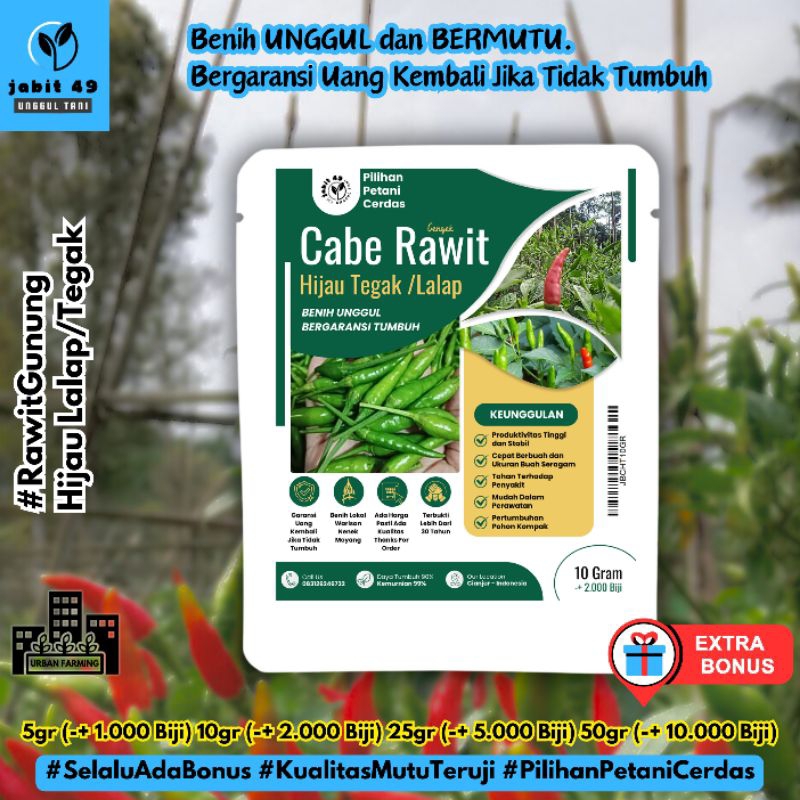 JaBit - 10gr (-+ 2.000 Biji) Benih Cabe Rawit Hijau Lalap Tipe Tegak Lokal Japlak Bibit Cabai Rancun