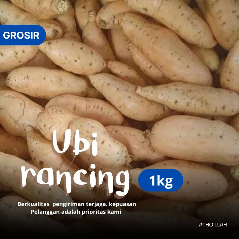 

Ubi Jalar Madu Rancing 1kg