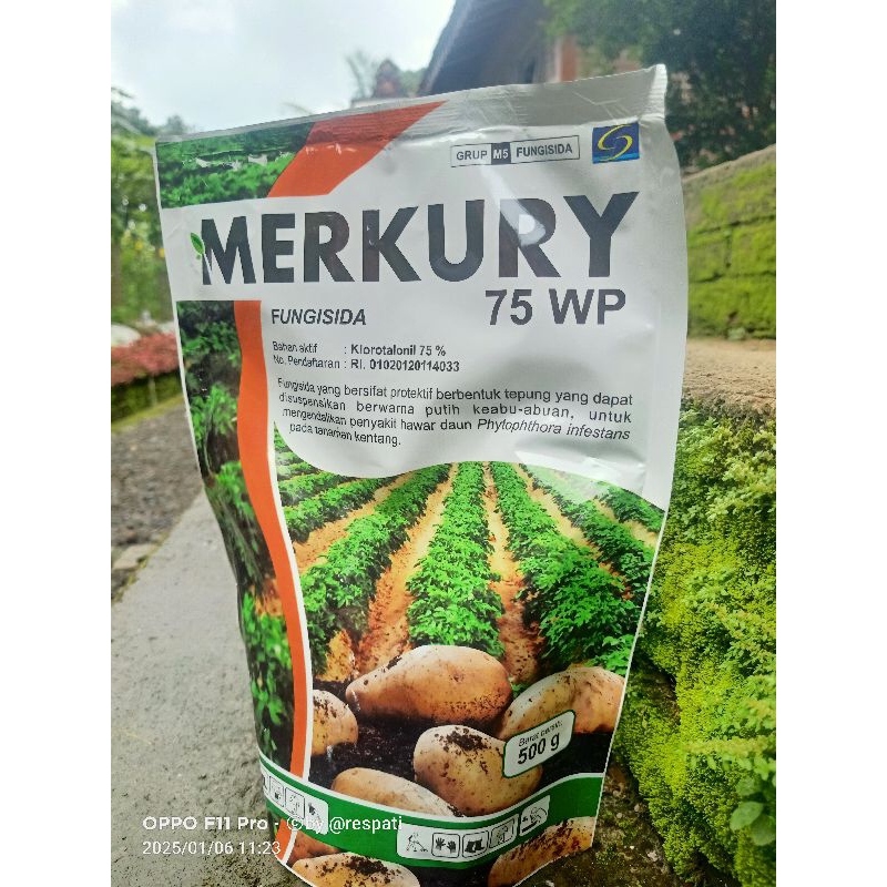 Fungisida MERKURY 75WP bahan aktif Klorotalonil