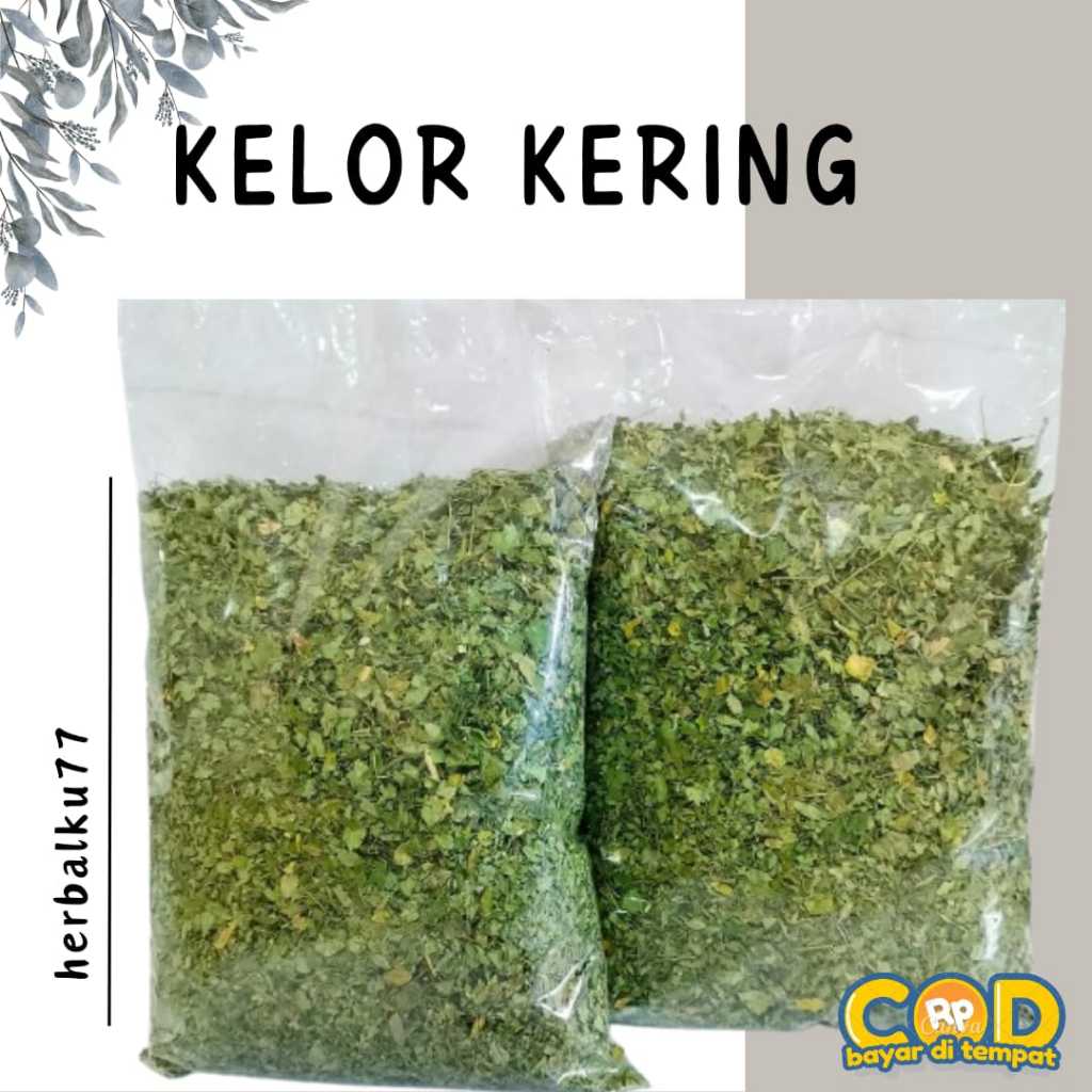 

TEH DAUN KELOR KERING 100% ORGANIK
