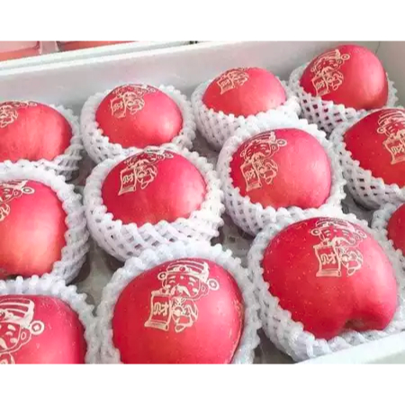 

BUAH APEL FUJI PREMIUM Edisi HCNY isi 12 pcs, Apel Fuji Tatoo Dewa Uang untuk Hampers Imlek