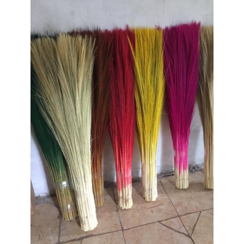 GROSIR Pampas rayung dekorasi rumah bunga kering aesthetic