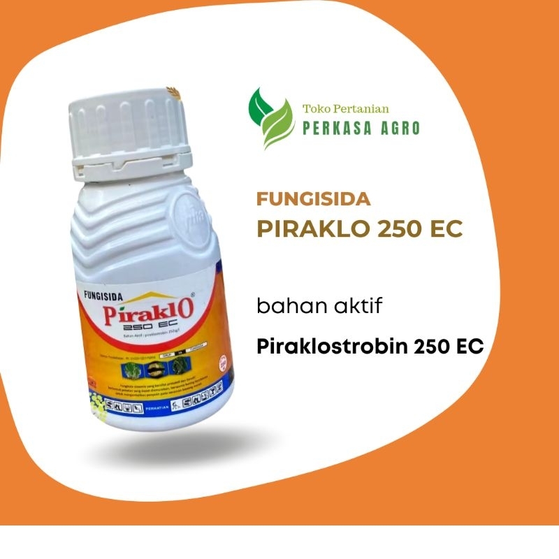 Fungisida Piraklo 100 ml - Bahan Aktif Piraklostrobin