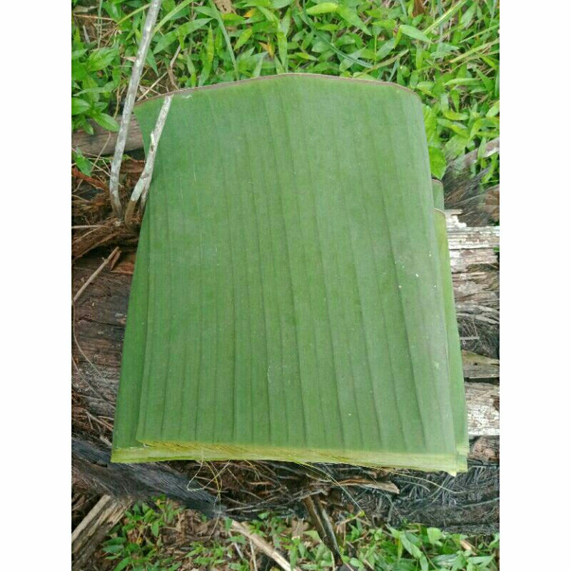 

daun pisang hijau segar daun cau harga murah/1kg