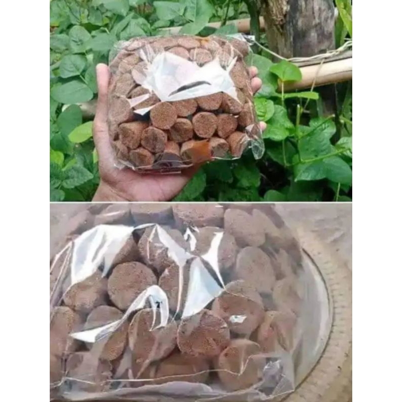 Buhur gaharu bakhour dupa kerucut