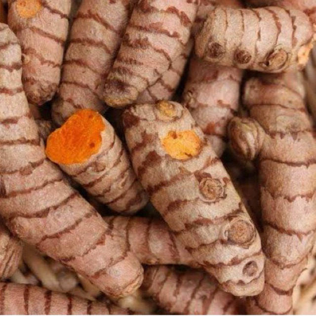 

Kunyit kunir fresh besar pack pouch murah ekonomis/fresh turmeric/kunyit segar bumbu & jamu 100gr/250gr
