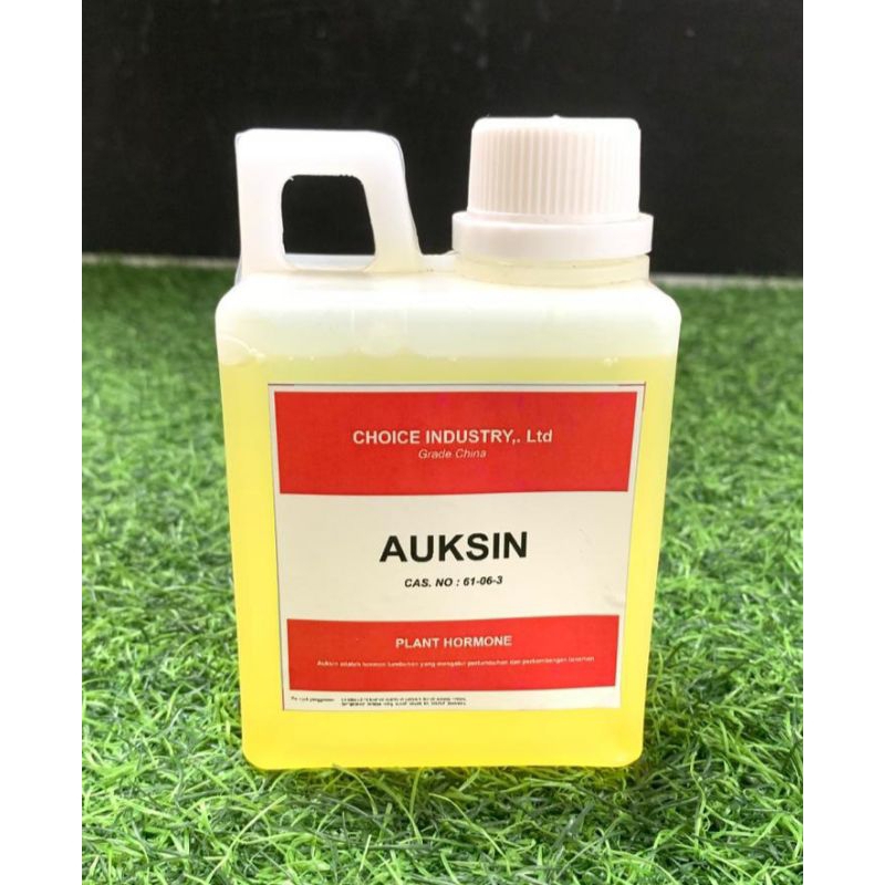 Hormon Auksin 500 ppm