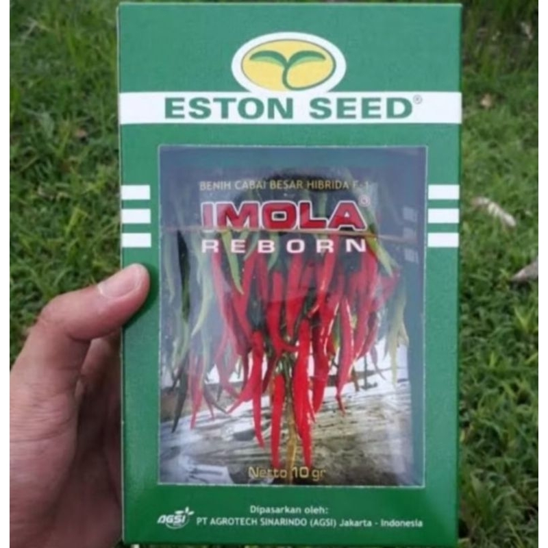 benih bibit cabe ORIGINAL IMOLA REBORN ISI 10 GRAM BENIH UNGGULAN√