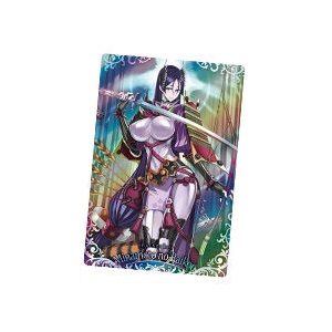 Minamoto no Raikou Berserker FGO Fate Grand Order Wafer Rerelease Special Bandai Shokugan Candy Toy