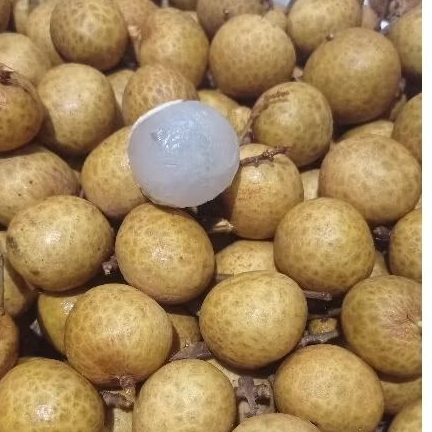 

Buah kelengkeng manis segar 500 gr