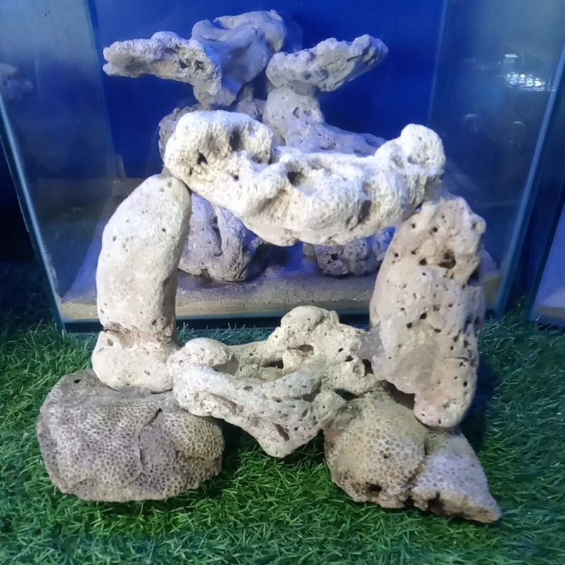 Batu Karang Rangkai Deadrock Model Gapura