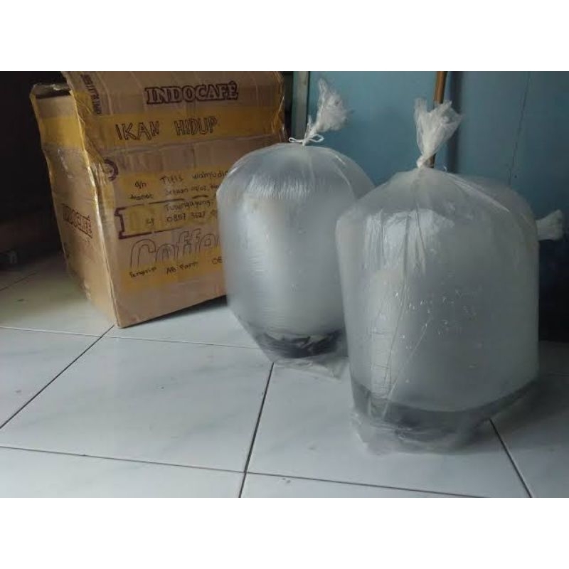 

packing ikan