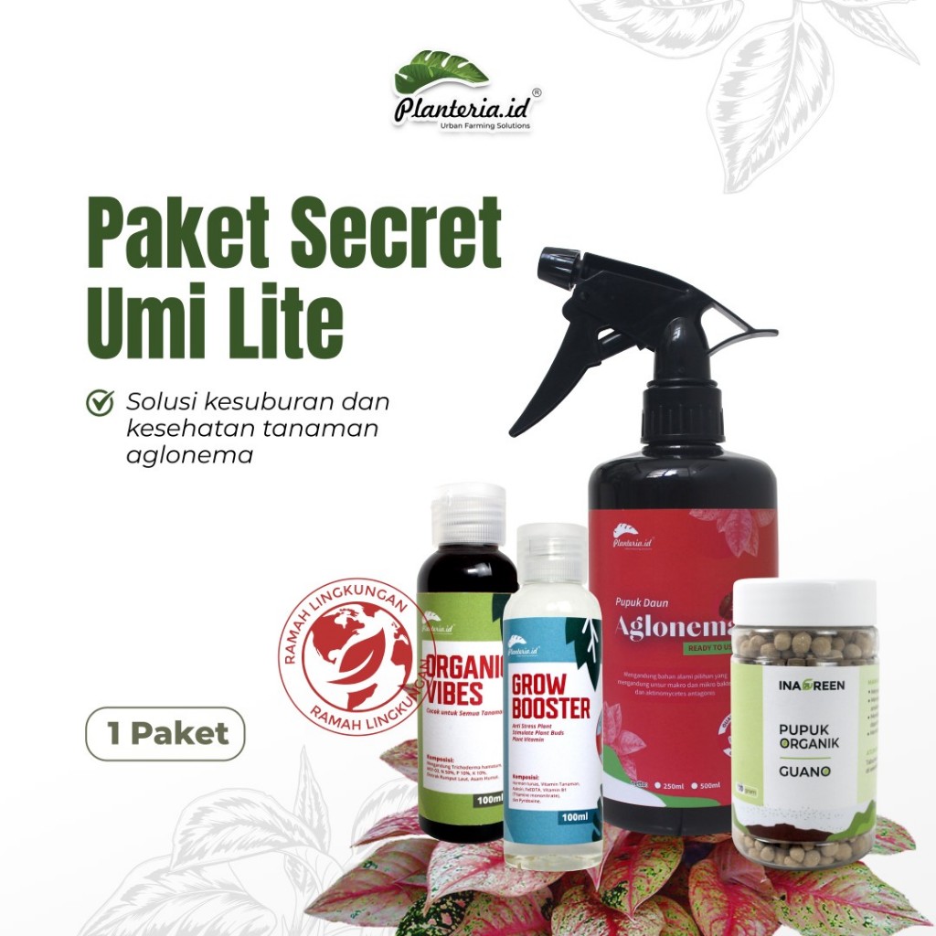 Paket secret garden of umi Lite solusi Aglonema sehat dan subur by Planteria.id